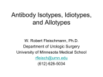 Antibody Structure and Function