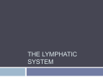 Intro to the Lymphatic System