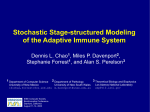 Stochastic Stage-structured Modeling of the Adaptive