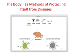 The Body Has Methods of Protecting Itself from Diseases