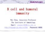 B cells