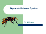 Dynamic Defense System