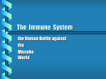 immune system-struct and func