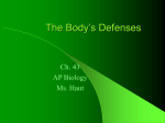 ch. 43 The Body`s Defenses