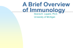 A Brief Overview of Immunology