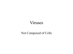 Viral Diseases - De Anza College