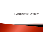 Lymphatic System