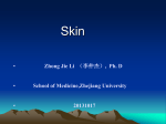 Structure of skin