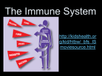 Immune ppt