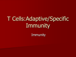 T Cells - GEOCITIES.ws