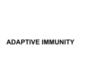adaptive immunity