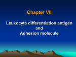 Cytokines and Chemokines