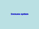 Mucosal immune system