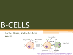 b-cells - APBiology2015-2016