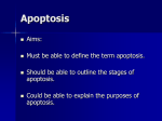 Apoptosis - manorlakesscience
