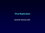 viral_replic_Hammer