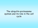 The ubiquitin-proteasome system and its role in the cell