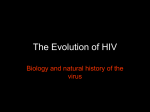 HIV Evolution