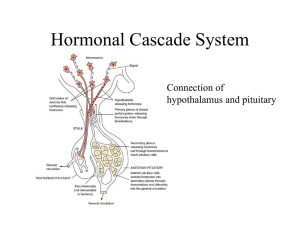 Hormone Cascade Chart