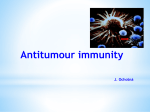 Anti-tumor immunity