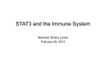 How is the STAT3 pathway activated?