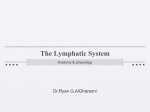 The Lymphatic System