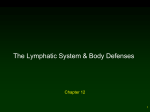 Lymphatic_System___Body_Defense__Ch_12__