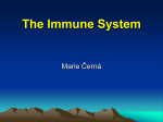 The Immune System