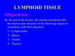 04 Integrated LYMPHOID TISSUE