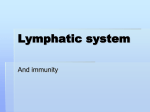 Lymphatic system - s3.amazonaws.com