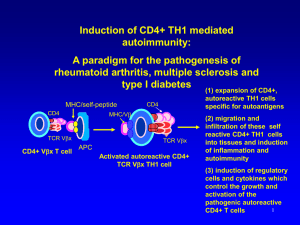 CD4+ Vbx T cell
