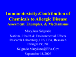 Potential Effects of Chemicals on Allergic Disease