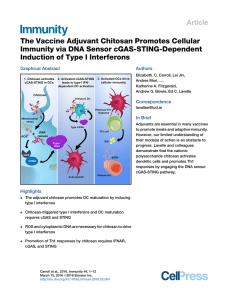 The Vaccine Adjuvant Chitosan Promotes Cellular Immunity via DNA Sensor cGAS-STING-Dependent