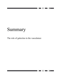 Summary  The role of galectins in the vasculature