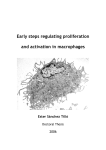 Early steps regulating proliferation and activation in macrophages Ester Sánchez Tilló 2006