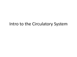 Intro to the Circulatory System