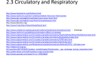 BC Science 8 Chapter 2