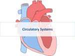 Circulatory Systems