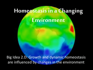 Homeostatic Mechansisms and Evolution
