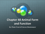 ANIMAL POWERPOINT CHPT 40