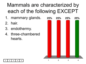Mammals are characterized by each of the following EXCEPT