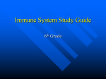 Immune System Study Guide