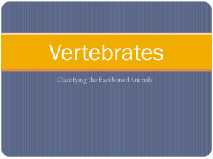 Vertebrates - Madison County Schools