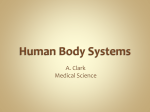 Human Body Systems - New Caney ISD / Homepage