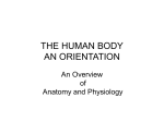 An Overview of Anatomy and Physiology