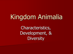 Kingdom Animalia - Clayton High School