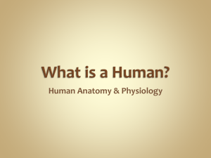 What is a Human?