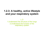 1.2.3: A healthy, active lifestyle and your respiratory system