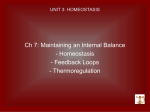 UNIT 3: HOMEOSTASIS - Grade 12 Biology