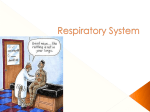 Respiratory System